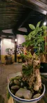 New House Shiman·Long history New Chinese National Classical Art Viewing Holiday Beauty
