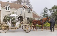Victoria Mansion Hotels in Sixi Yancun (North Route)