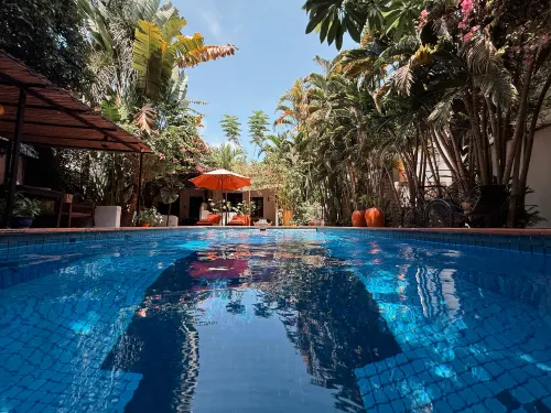 Maison 557 - Pet friendly