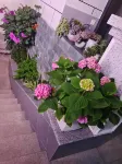 Hanyuan Yingtaoyuan Homestay