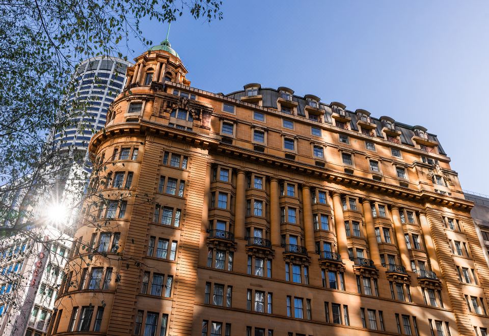 3. 패러독스 시드니..