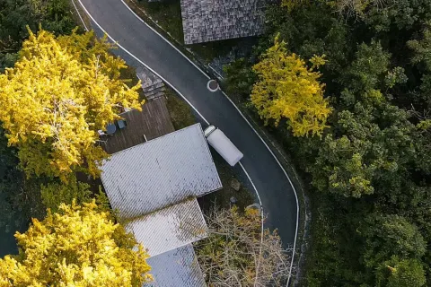 Lost Villa Ginkgo Valley (Suizhou Store)