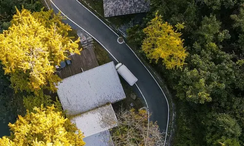 Lost Villa Ginkgo Valley (Suizhou Store)