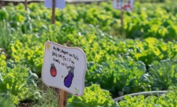 Shumyip Hot Spring Hotel