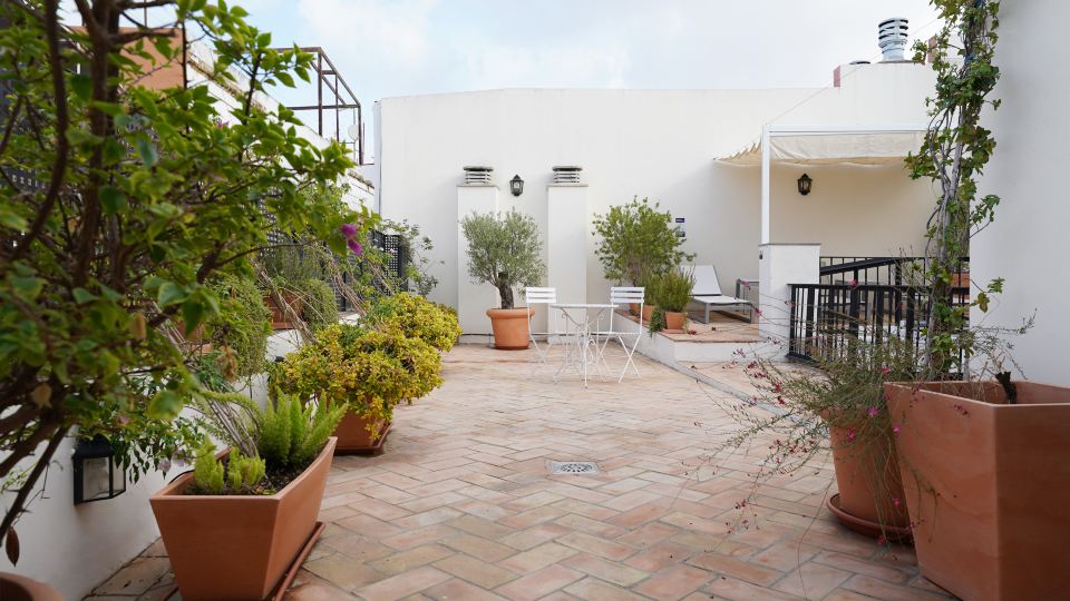 Numa Seville Alegre