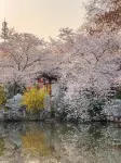春山居·1985ホテル 武漢黄鶴楼（彭劉楊地下鉄駅） - マウンテンビュー