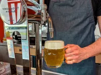 Ibis Praha Mala Strana Hotels in Prague