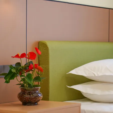 Cozy Place