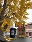 Shanhaiguan Ancient Road Bian Homestay Hotel di 