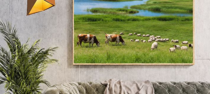 Rensheng Live · Nan Zhi Bei · Family Homestay (Ergun Wetland Scenic Area) Hotéis em Eerguna