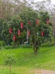 Fuhong Homestay - 2-نجوم