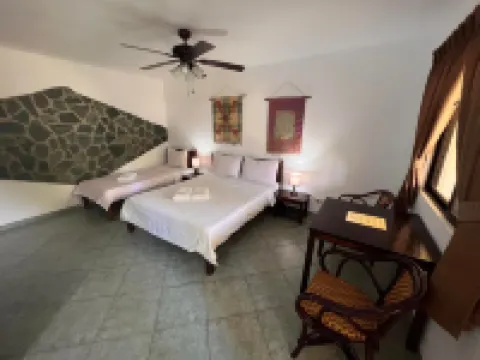 알로나 스위스 리조트