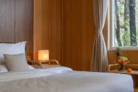 Misty Forest | Golden Dawn on Snow Peaks · Wild Luxury Secluded Mountain Lodge - romantici