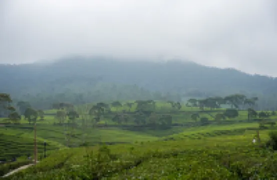 Bobocabin Pangalengan