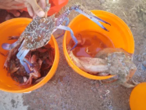 Qixiangyue Chinese Inn (Huandao East Road Beigang Village)