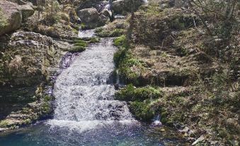 Tea Fragrance Garden (Guniujiang Scenic Spot Store)