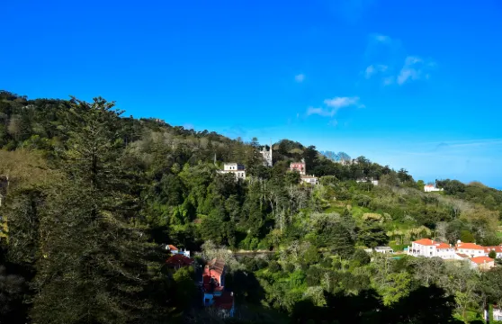 辛特拉中心 NH 酒店