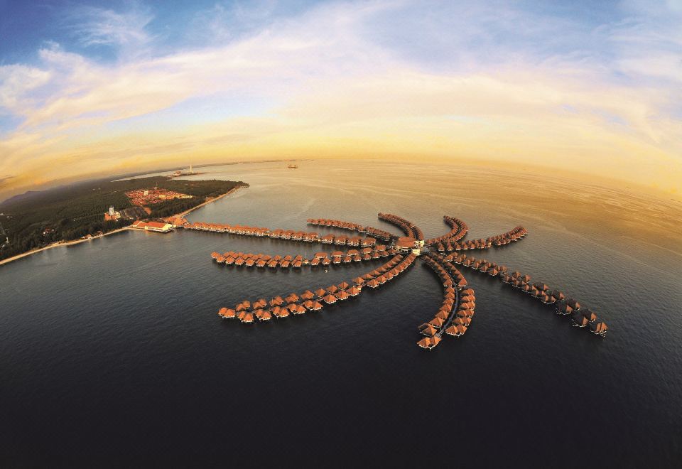 Golden Palm Tree Sepang