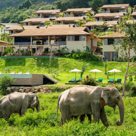Wild Cottages Elephant Sanctuary Resort