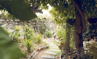 Dalat Ninhchu