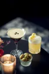 Van der Valk Hotel Amsterdam - Amstel - bars