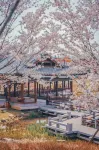 Jincheng Fengyang Yitang Hot Spring Hotel - Romantic