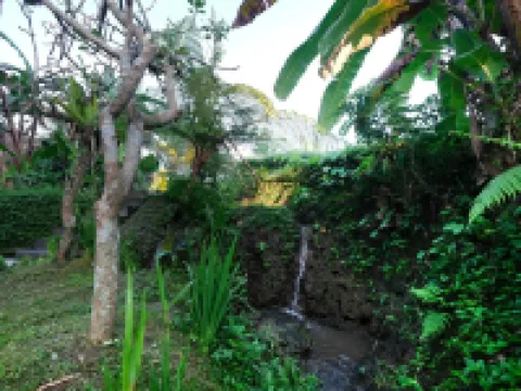 Ubud Jungle Stay - Mahari by WAHM Villa Alamanda周辺のホテル