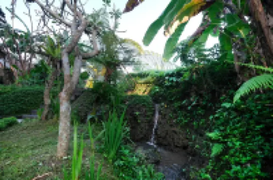 Ubud Jungle Stay by WAHM Hotel Management