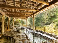 Ooedo Onsen Monogatari Premium Sendai sakunami