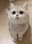 禾風小築民宿（ブルチン七彩河童話森林遊楽場） - 2つ星