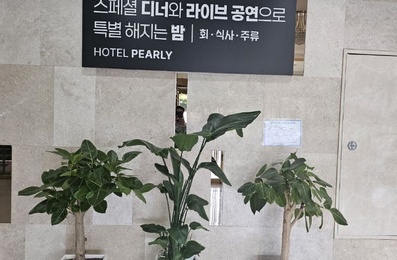 Jeju Pearly Hotel photo 5