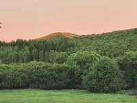 Xijing Mountain Residence Boutique Homestay - 마운틴 뷰
