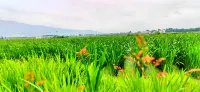Qujing Ouduo Hotel (Qilin District South City Store) - Romantic