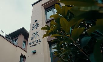 Youngmood Hotel