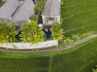 Astera Resort Canggu by iNi Vie Hospitality - Luxury Honeymoon Experiences In Canggu Hotel dekat GOR Debes
