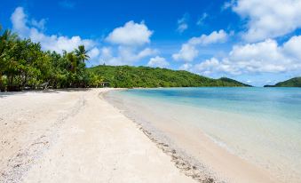 a serene beach scene with clear blue water , white sand , and lush green trees in the background at Navutu Stars Resort