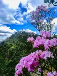 Jizu Mountain Mountain Scenery Language Homestay Hotels in Binchuan