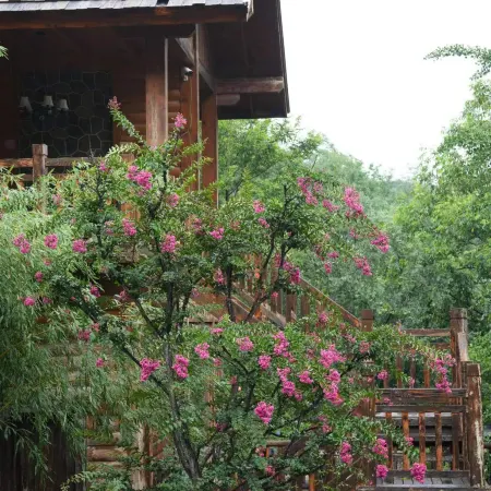 Jiuru Mountain Buermuju Homestay
