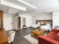 Miracle Istanbul Asia Airport Hotel & Spa Hotels near Hermandere