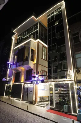 Alpinn Hotel Istanbul Hotell i 