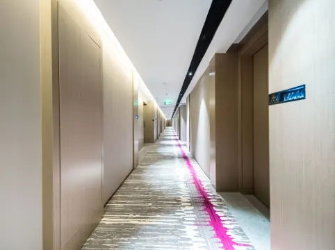 麗楓飯店（海口萬國大都會騎樓老街店） 公共區域 Photos