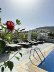 Mogons Exclusive - Pools