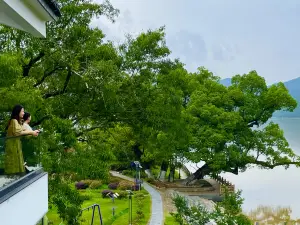 Top 10 Vacation Homes in She County