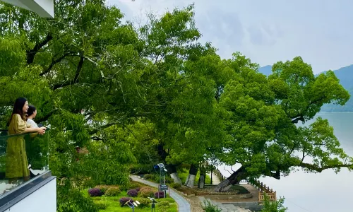 She County Nanping Shuitian Yishe Homestay