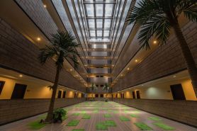 เดอะ แกรนด์ เดย์ ไนท์