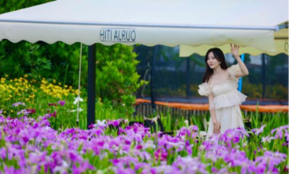Dayi HITI ALRUO Holiday Resort