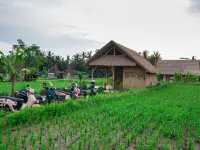 Pondok Mawas Hotels near Rudana Museum