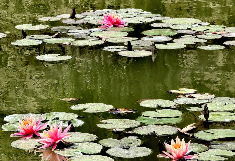 관산디 호텔 이미지