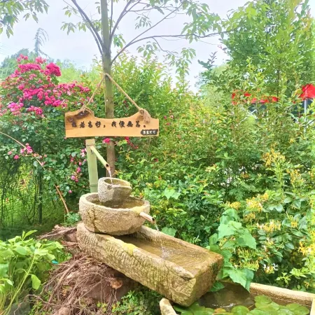CilanCoco Return to Nature Homestay