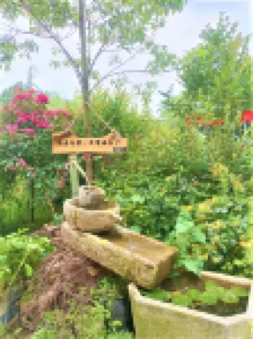 CilanCoco Return to Nature Homestay